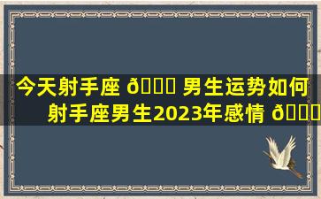 今天射手座 🐕 男生运势如何（射手座男生2023年感情 🍁 运势）